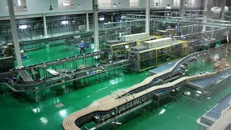油炸机材质导热油适用性解析：如何确保高效稳定运行