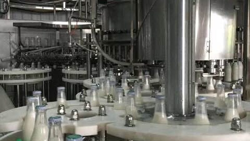 食品输送设备定制流程：揭秘定制化生产的秘密